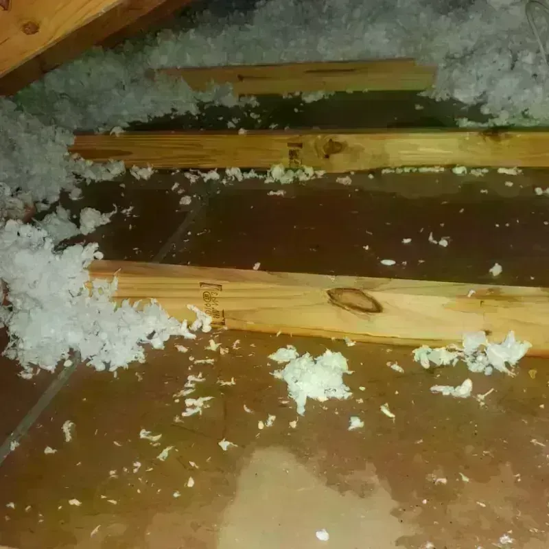 Attic Water Damage in Sharon, PA