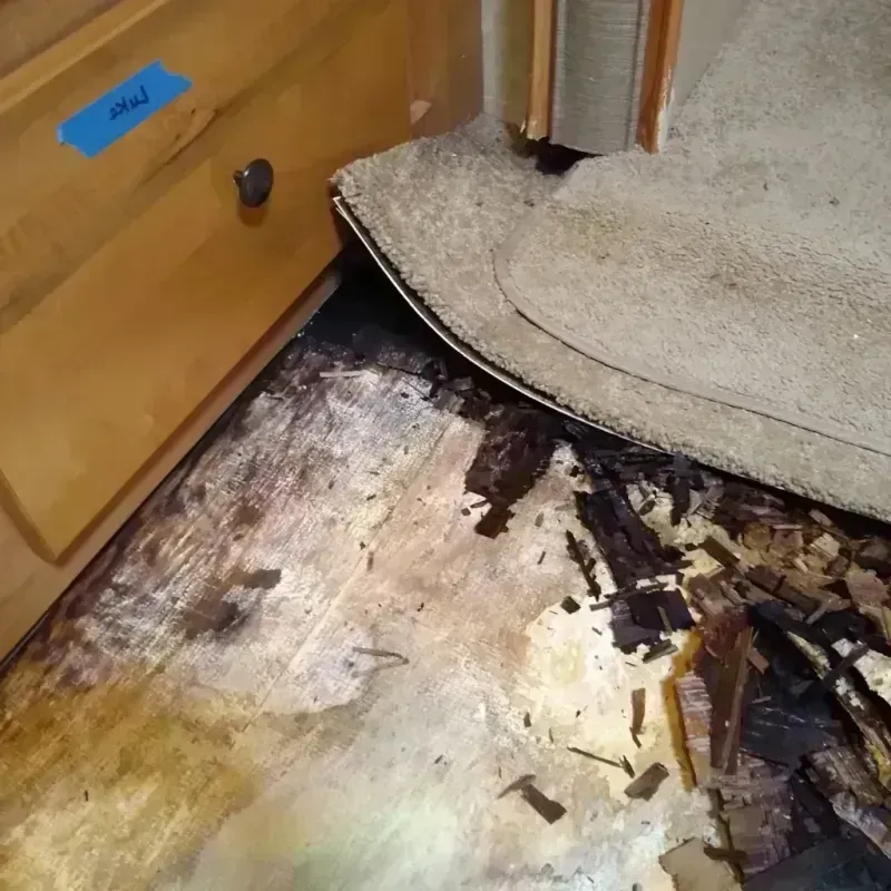 Wood Floor Water Damage in Sharon, PA